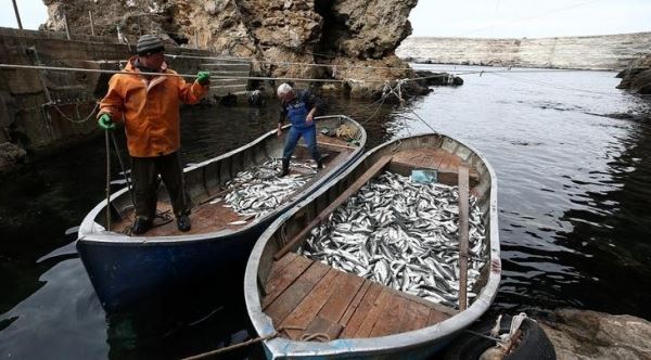 Крым прочно удерживает позиции в первой пятерке по промыслу рыбы в Российской Федерации