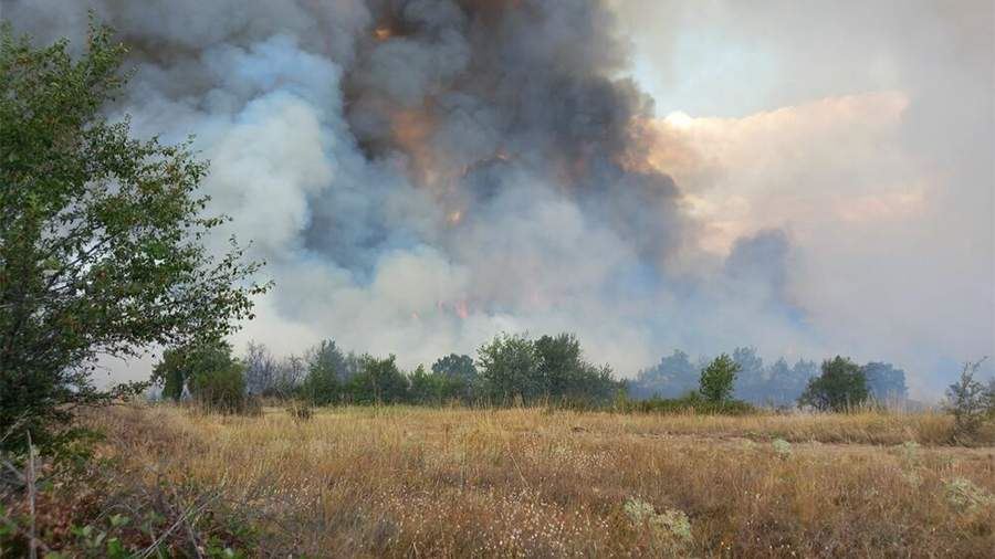 В Болгарии разгорелись лесные пожары из-за жары и засухи<br />

