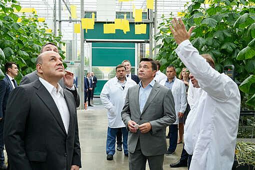 Андрей Воробьев на встрече с Михаилом Мишустиным предложил новую меру поддержки семеноводства