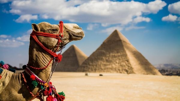 Anex Tour раскрыл подробности зимней полетной программы в Египет