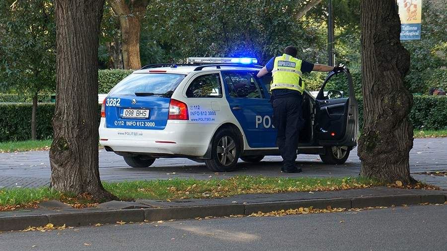 Сотрудников «Известий» отпустили из полицейского участка Эстонии<br />
